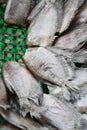 Thai Dried Salted Fish - Snakeskin gourami Royalty Free Stock Photo