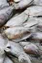 Thai Dried Salted Fish - Snakeskin gourami Royalty Free Stock Photo