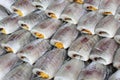 Thai Dried Salted Fish - Snakeskin gourami Fish Royalty Free Stock Photo