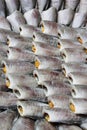 Thai Dried Salted Fish - Snakeskin gourami Fish Royalty Free Stock Photo