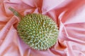 Thai durian fruit for export