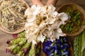 Thai edible flowers from organic local farmers market in Northern of Thailand