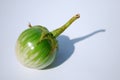 Thai Eggplant Royalty Free Stock Photo