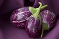 Thai Eggplant Royalty Free Stock Photo