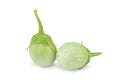 Thai eggplant isolated on white background. Royalty Free Stock Photo