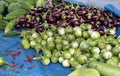 Thai eggplant and purple eggplant