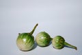 Thai Eggplants Royalty Free Stock Photo