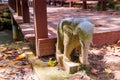 Thai elephant is made of marble Royalty Free Stock Photo