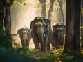 Thai elephants in the forest. Generative Ai