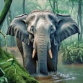 Thai elephants walking in streams, forests of Asia