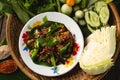 [Thai Esan food] Spicy Mushroom Straw mushroom Salad, Thai Esan local food, Thailand Royalty Free Stock Photo