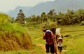 Thai ethnic women carrying straw in the field