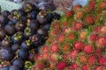 Thai exotic fruits (Rambutan and Mangosteen) in market