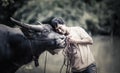 Thai Farmer with buffalo