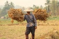 Thai farmer carrying their hand harvested crop of soybeans in to be processed on their organic farm in Northern Thailand,