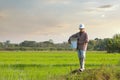 Thai farmer