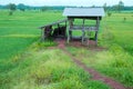 Thai farmer house Royalty Free Stock Photo