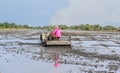 Thai Farmer using tiller tractor in rice field Royalty Free Stock Photo
