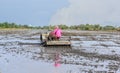 Thai Farmer using tiller tractor in rice field