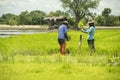 Thai farmers preparing to plant rice in Thailand