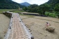 Thai female farmer harvest and carry rice straw.