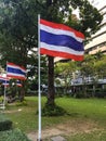 Thai Flag Royalty Free Stock Photo