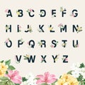 Vector illustration thai flowers alphabet typgraphy design Royalty Free Stock Photo