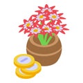 Thai flowers vase icon, isometric style