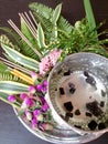 Thai Flowers and Water with Som poi Acacia concinna water in tray with pedestal on wood table (Use for Songkran festival in t Royalty Free Stock Photo