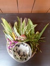 Thai Flowers and Water with Som poi Acacia concinna water in tray with pedestal on wood table (Use for Songkran festival in t Royalty Free Stock Photo