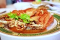 Fried snapper fish with fish sauce Royalty Free Stock Photo