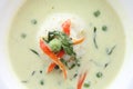 Thai food green fish curry Royalty Free Stock Photo