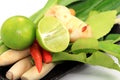 Thai food ingredient for Tom yum Royalty Free Stock Photo