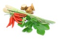 Thai food ingredient for Tom yum kung Royalty Free Stock Photo