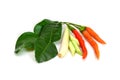 Thai food ingredient for Tom yum kung Royalty Free Stock Photo