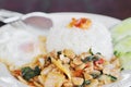 Thai food, kapao moo Royalty Free Stock Photo