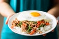 Thai food Pad Kaprao Moo Kai Dao Royalty Free Stock Photo