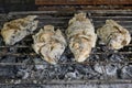 Thai Food, Salt-Crusted Grilled Fish Royalty Free Stock Photo