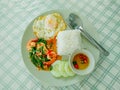 Thai food, steamed rice, fried egg, stir-fried basil with shrimp.