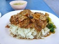 Thai food style, Selective focus of stewed pork leg and chitterlings on jasmine rice