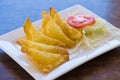 Thai fried dumpling Royalty Free Stock Photo