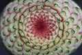 Thai fruit carving on a watermelon