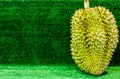 Thai Fruits : Durian, the Controversial King of Tropical Fruits