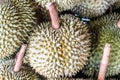 Thai Fruits : Durian, the Controversial King of Tropical Fruits