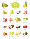 Thai Fruits Set Lush Food Vector Illustration