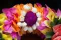 Thai garland colorful flowers. (Close up - Macro shot) Royalty Free Stock Photo