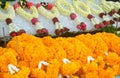 Thai Garland