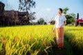 Thai girl walk on paddy and rice farm in lamduan woven cloth coffee shop Royalty Free Stock Photo