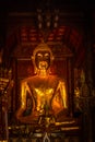 Thai golden buddha vertical dark gold peace calm