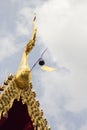 thai golden wood naga gable apex with sky Royalty Free Stock Photo